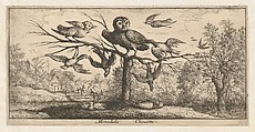 Title Page from "Livre d'Oyseaux" (Book of Birds), Albert Flamen (Flemish, born ca. 1620, active 1648–88), Etching
