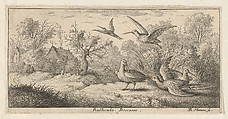 Title Page from "Livre d'Oyseaux" (Book of Birds), Albert Flamen (Flemish, born ca. 1620, active 1648–88), Etching