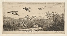 Title Page from "Livre d'Oyseaux" (Book of Birds), Albert Flamen (Flemish, born ca. 1620, active 1648–88), Etching