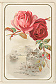 Roses, bakery card from the Picture Cards series (D63), issued by the Vienna Model Bakery, Vienna Model Bakery American, Commercial color lithograph