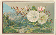 Landscape with morning glories, bakery card from the Picture Cards series (D63), issued by the Vienna Model Bakery, Vienna Model Bakery American, Commercial color lithograph