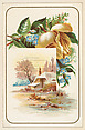 Scenic house with yellow and blue flowers, bakery card from the Picture Cards series (D63), issued by the Vienna Model Bakery, Vienna Model Bakery American, Commercial color lithograph