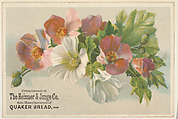 Pink and white flowers, bakery card from the Picture Cards series (D63), issued by The Heissler & Junge Company, The Heissler & Junge Company  American, Commercial color lithograph