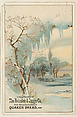 Winter scene with tree, bakery card from the Picture Cards series (D63), issued by The Heissler & Junge Company, The Heissler & Junge Company  American, Commercial color lithograph