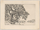 Marin's Oak, Ernest Haskell American, Etching