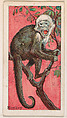 Monkey, from the Menagerie Gum series (E26) for John H. Dockman & Son, John H. Dockman & Son, Baltimore  American, Commercial color lithograph