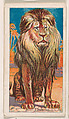 Lion, from the Menagerie Gum series (E26) for John H. Dockman & Son, John H. Dockman & Son, Baltimore  American, Commercial color lithograph
