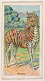 Zebra, from the Menagerie Gum series (E26) for John H. Dockman & Son, John H. Dockman & Son, Baltimore  American, Commercial color lithograph