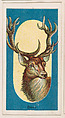 Deer, from the Menagerie Gum series (E26) for John H. Dockman & Son, John H. Dockman & Son, Baltimore  American, Commercial color lithograph