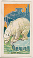 Polar Bear, from the Menagerie Gum series (E26) for John H. Dockman & Son, John H. Dockman & Son, Baltimore  American, Commercial color lithograph