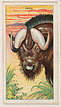 Gnu, from the Menagerie Gum series (E26) for John H. Dockman & Son, John H. Dockman & Son, Baltimore American, Commercial color lithograph