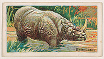 Rhinoceros, from the Menagerie Gum series (E26) for John H. Dockman & Son, John H. Dockman & Son, Baltimore American, Commercial color lithograph