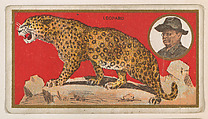 Leopard, from the "Teddy's Trophies" series (E27) for the American Caramel Company, American Caramel Company, Philadelphia American, Commercial color lithograph