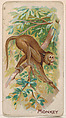 Monkey, from the Zoo Animals series (E26) issued by the Philadelphia Caramel Co. to promote Zoo Caramels, Philadelphia Caramel Co., Camden, New Jersey American, Commercial color lithograph