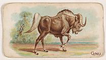 Gnu, from the Zoo Animals series (E26) issued by the Philadelphia Caramel Co. to promote Zoo Caramels, Philadelphia Caramel Co., Camden, New Jersey  American, Commercial color lithograph