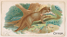 Otter, from the Zoo Animals series (E26) issued by the Philadelphia Caramel Co. to promote Zoo Caramels, Philadelphia Caramel Co., Camden, New Jersey  American, Commercial color lithograph
