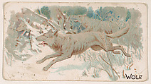 Wolf, from the Zoo Animals series (E26) issued by the Philadelphia Caramel Co. to promote Zoo Caramels, Philadelphia Caramel Co., Camden, New Jersey  American, Commercial color lithograph