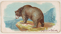 Grizzly Bear, from the Zoo Animals series (E26) issued by the Philadelphia Caramel Co. to promote Zoo Caramels, Philadelphia Caramel Co., Camden, New Jersey  American, Commercial color lithograph