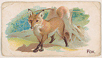 Fox, from the Zoo Animals series (E26) issued by the Philadelphia Caramel Co. to promote Zoo Caramels, Philadelphia Caramel Co., Camden, New Jersey  American, Commercial color lithograph