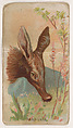 Aardvark, from the Zoo Animals series (E29) issued by The Philadelphia Confections Co. to promote Zoo Caramels, The Philadelphia Confections Co. American, Commercial color lithograph