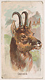 Chamois, from the Zoo Animals series (E29) issued by The Philadelphia Confections Co. to promote Zoo Caramels, The Philadelphia Confections Co. American, Commercial color lithograph
