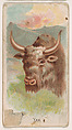 Yak, from the Zoo Animals series (E29) issued by The Philadelphia Confections Co. to promote Zoo Caramels, The Philadelphia Confections Co. American, Commercial color lithograph