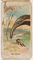 Anteater, from the Zoo Animals series (E29) issued by The Philadelphia Confections Co. to promote Zoo Caramels, The Philadelphia Confections Co. American, Commercial color lithograph
