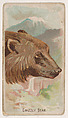 Grizzly Bear, from the Zoo Animals series (E29) issued by The Philadelphia Confections Co. to promote Zoo Caramels, The Philadelphia Confections Co. American, Commercial color lithograph