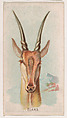 Eland, from the Zoo Animals series (E29) issued by The Philadelphia Confections Co. to promote Zoo Caramels, The Philadelphia Confections Co. American, Commercial color lithograph