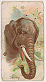 Elephant, from the Zoo Animals series (E29) issued by The Philadelphia Confections Co. to promote Zoo Caramels, The Philadelphia Confections Co. American, Commercial color lithograph