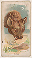 Hyena, from the Zoo Animals series (E29) issued by The Philadelphia Confections Co. to promote Zoo Caramels, The Philadelphia Confections Co. American, Commercial color lithograph