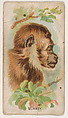 Monkey, from the Zoo Animals series (E29) issued by The Philadelphia Confections Co. to promote Zoo Caramels, The Philadelphia Confections Co. American, Commercial color lithograph