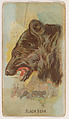 Black Bear, from the Zoo Animals series (E29) issued by The Philadelphia Confections Co. to promote Zoo Caramels, The Philadelphia Confections Co.  American, Commercial color lithograph