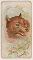 Wolf, from the Zoo Animals series (E29) issued by The Philadelphia Confections Co. to promote Zoo Caramels, The Philadelphia Confections Co. American, Commercial color lithograph