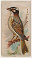 Chinese Bulbul, from the Zoo Birds series (E30) issued by The Philadelphia Confections Co. to promote Zoo Caramels, The Philadelphia Confections Co.  American, Commercial color lithograph
