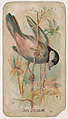 Java Grosbeak, from the Zoo Birds series (E30) issued by The Philadelphia Confections Co. to promote Zoo Caramels, The Philadelphia Confections Co.  American, Commercial color lithograph