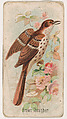 Brown Thrasher, from the Zoo Birds series (E30) issued by The Philadelphia Confections Co. to promote Zoo Caramels, The Philadelphia Confections Co.  American, Commercial color lithograph