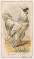 Silky Cock, from the Zoo Fowls series (E31) issued by The Philadelphia Confections Co. to promote Zoo Caramels, The Philadelphia Confections Co. American, Commercial color lithograph