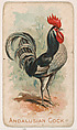 Andalusian Cock, from the Zoo Fowls series (E31) issued by The Philadelphia Confections Co. to promote Zoo Caramels, The Philadelphia Confections Co. American, Commercial color lithograph