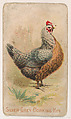 Silver-Grey Dorking Hen, from the Zoo Fowls series (E31) issued by The Philadelphia Confections Co. to promote Zoo Caramels, The Philadelphia Confections Co. American, Commercial color lithograph