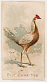 Pile Game Hen, from the Zoo Fowls series (E31) issued by The Philadelphia Confections Co. to promote Zoo Caramels, The Philadelphia Confections Co. American, Commercial color lithograph