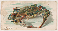 Crab, from the Zoo Fish series (E32) issued by The Philadelphia Confections Co. to promote Zoo Caramels, The Philadelphia Confections Co. American, Commercial color lithograph