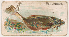 Flounder, from the Zoo Fish series (E32) issued by The Philadelphia Confections Co. to promote Zoo Caramels, The Philadelphia Confections Co. American, Commercial color lithograph