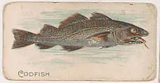 Codfish, from the Zoo Fish series (E32) issued by The Philadelphia Confections Co. to promote Zoo Caramels, The Philadelphia Confections Co.  American, Commercial color lithograph