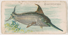 Swordfish, from the Zoo Fish series (E32) issued by The Philadelphia Confections Co. to promote Zoo Caramels, The Philadelphia Confections Co.  American, Commercial color lithograph