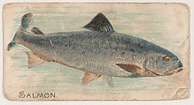 Salmon, from the Zoo Fish series (E32) issued by The Philadelphia Confections Co. to promote Zoo Caramels, The Philadelphia Confections Co.  American, Commercial color lithograph