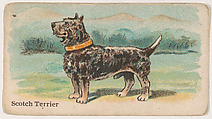 Scotch Terrier, from the Zoo Dogs series (E33) issued by The Philadelphia Caramel Company to promote Zoo Caramels, Philadelphia Caramel Co., Camden, New Jersey American, Commercial color lithograph