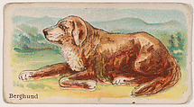 Berghund, from the Zoo Dogs series (E33) issued by The Philadelphia Caramel Company to promote Zoo Caramels, Philadelphia Caramel Co., Camden, New Jersey American, Commercial color lithograph