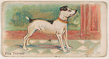 Fox Terrier, from the Zoo Dogs series (E33) issued by The Philadelphia Caramel Company to promote Zoo Caramels, Philadelphia Caramel Co., Camden, New Jersey  American, Commercial color lithograph