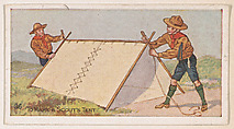 Card 36, To Make a Scout's Tent, from the Boy Scouts series (E41), issued by the Scout Gum Company or to promote Harlequin Taffy Candy, Scout Gum Company, Rochester, New York or American, Commercial color lithograph